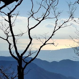 相模湾が大きく見えました。