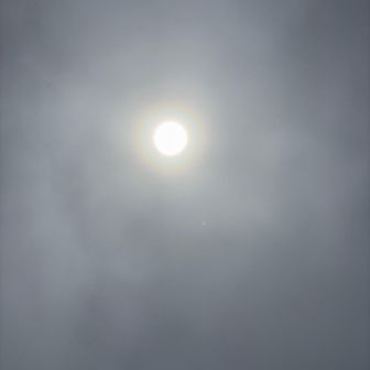 太陽が☀️出てきました⤴️