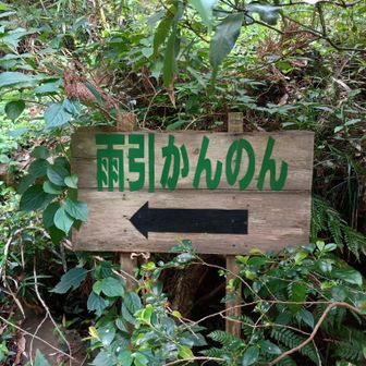 「かんのん」のひらがなさえ、カワイイ