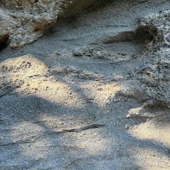 砂岩だな、堆積岩。
波打っているのはたぶん、風化で柔らかいところから削れていく、のかな？