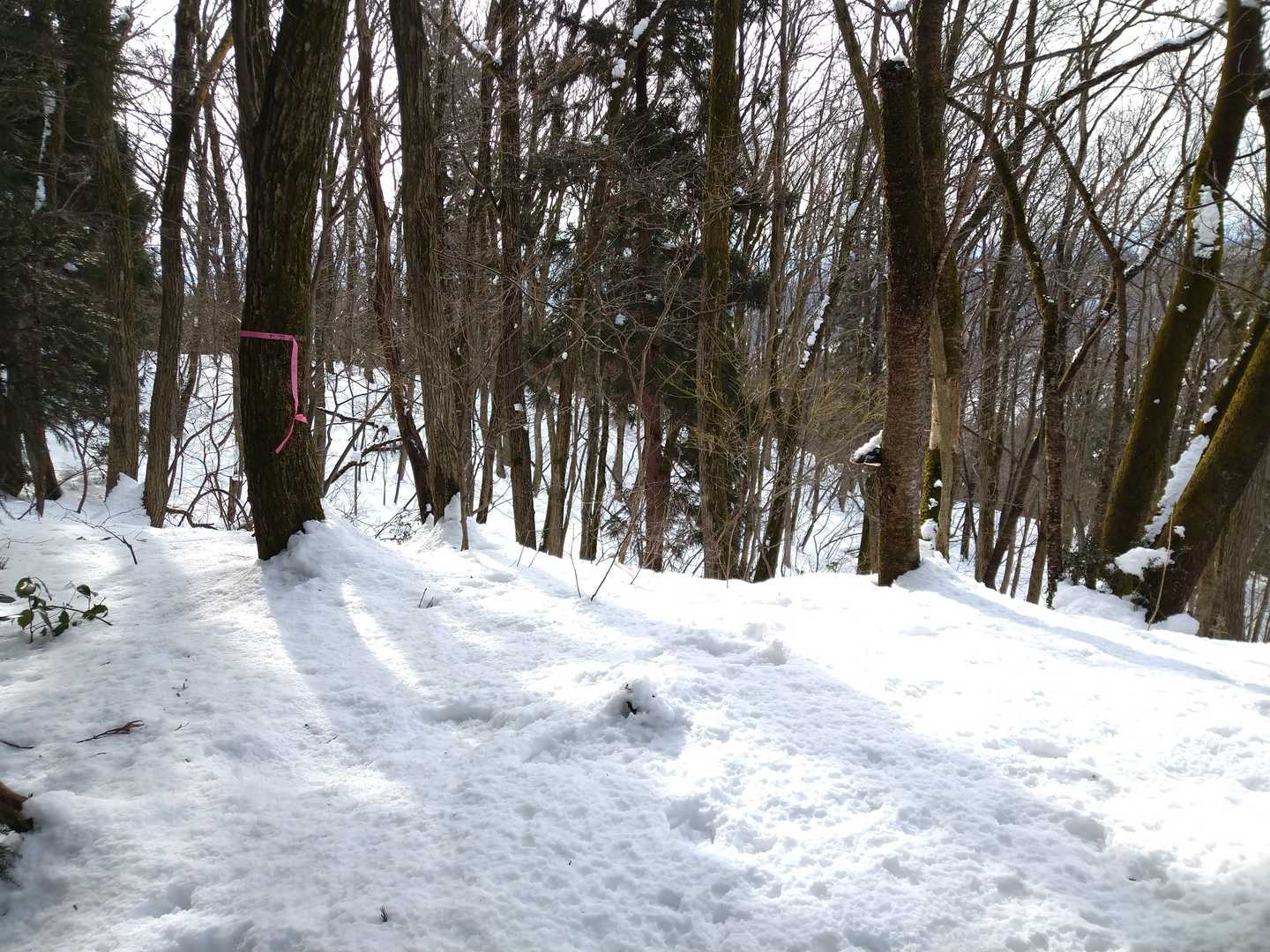 🏔️十六山山頂🙌
🍑テープに十六山の記載有り