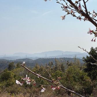 尻海方面
ここからの日の出も良い