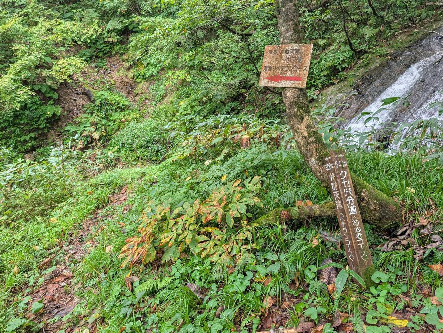 ベテランコース…
一瞬行こうとしたけど
取り付くまでにコケて濡れそうな感じだったので、初心者は初心者らしく。