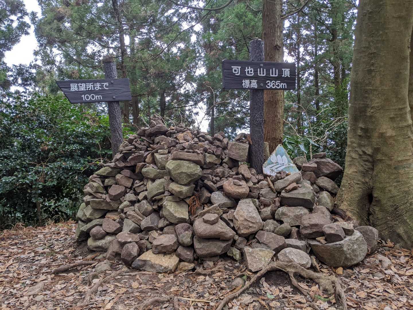 可也山山頂⛰。
眺望はありませんでした。