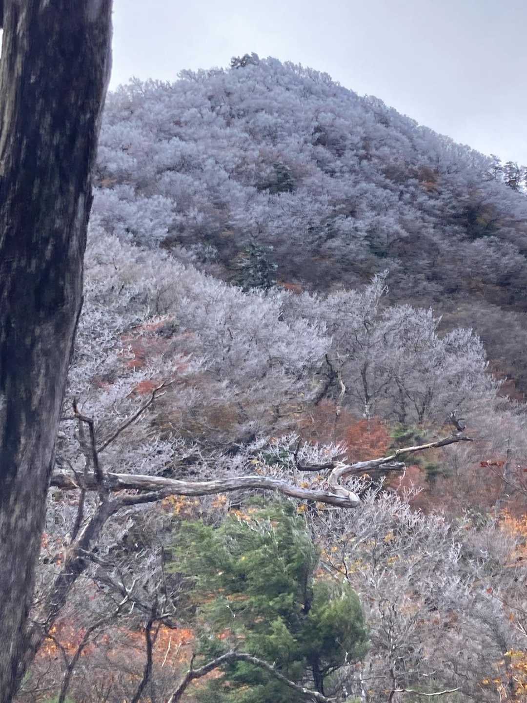 釈迦ヶ岳（高原山）往復コースの写真