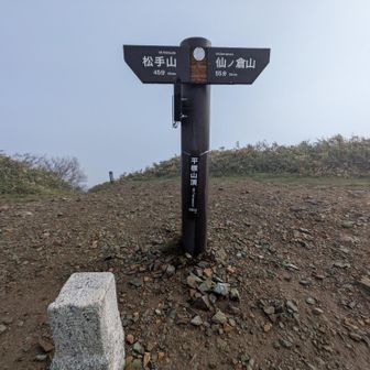平標山の山頂到着

山頂には朝イチから登り始めた方が数名見えていました。
互いに少し言葉を交わして、仙ノ倉に向かいます