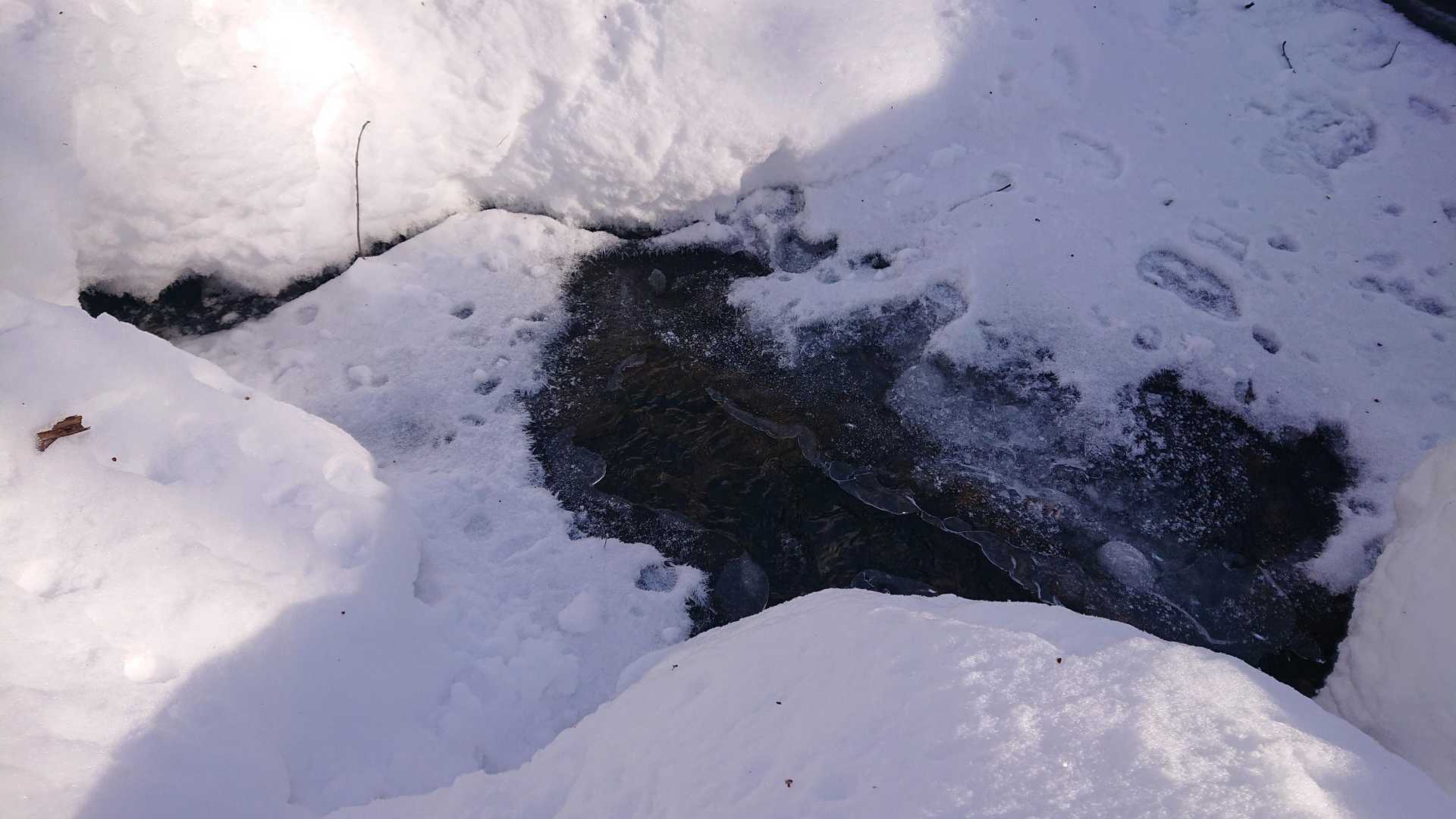 川も氷ってる～