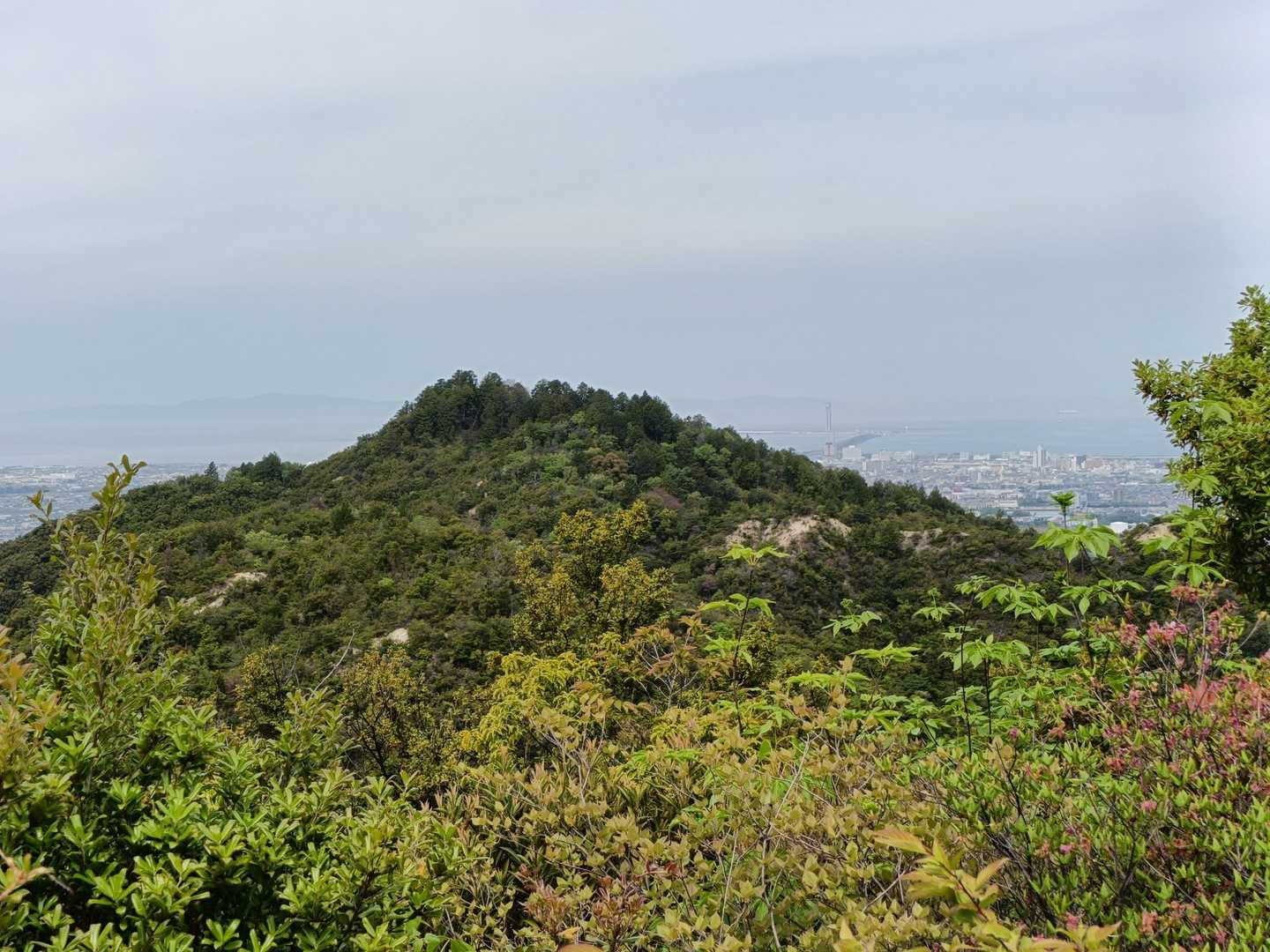 雨山が見えてきました。
白く見えている箇所がロープ場かな？