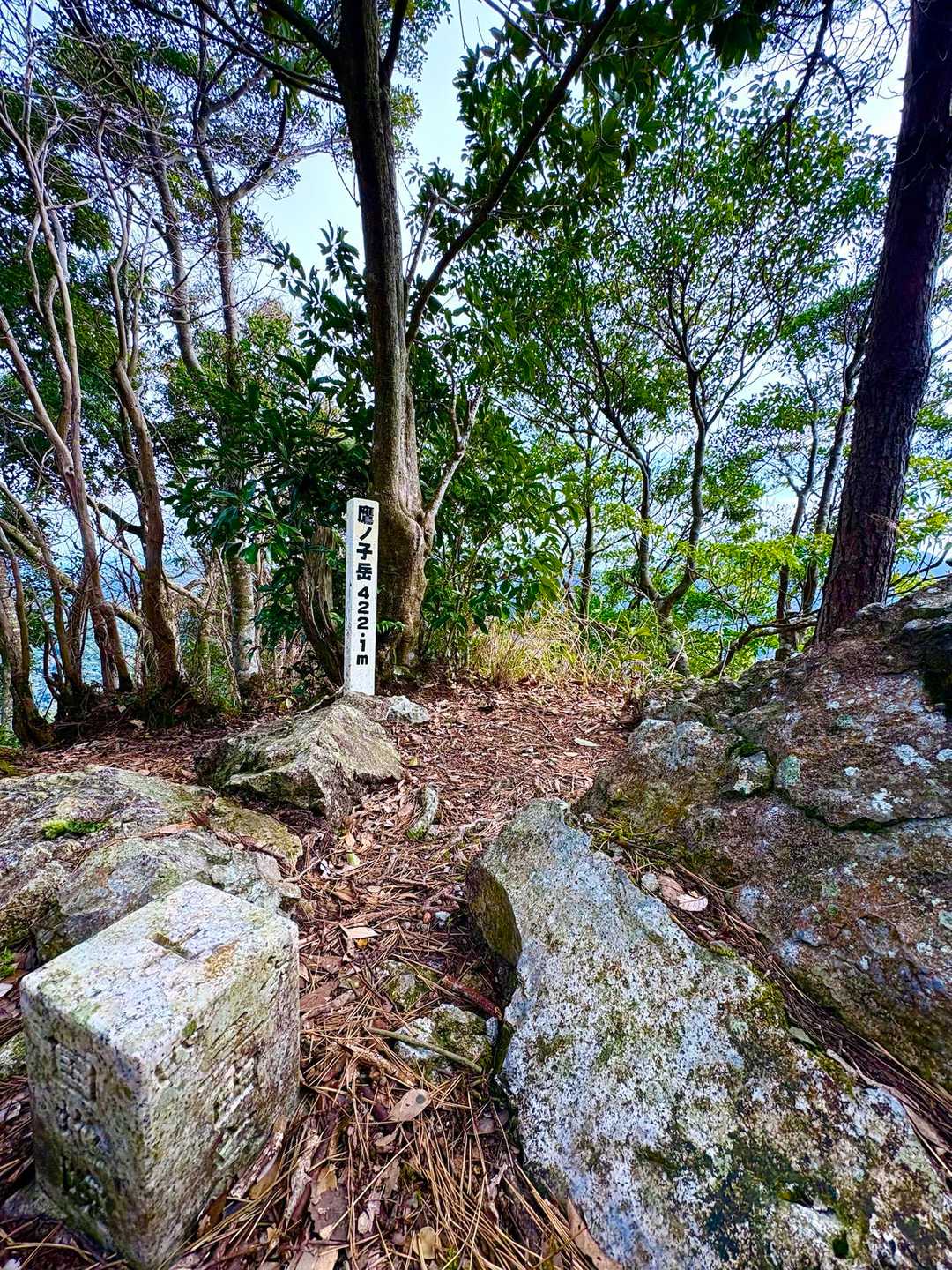 眺望なくてもピー助なりにはGOODな山頂🙌🏻