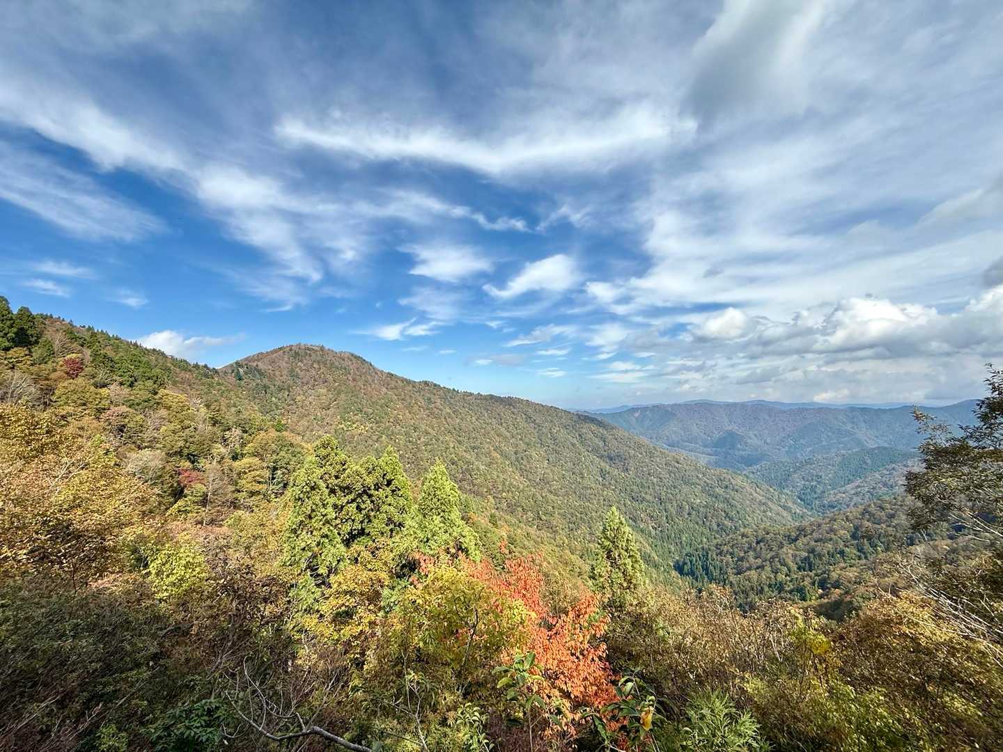 シチグレ峠-百里ヶ岳-根来坂峠 周回コースの写真