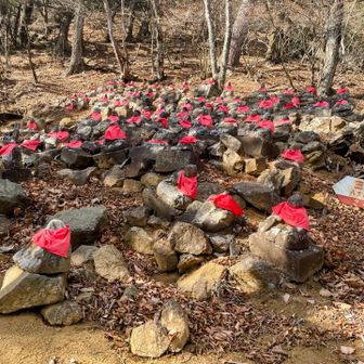 #八十八大師  
四国八十八ヶ所巡拝 時短版
結願に30日間かかった僕には夢のようなシステム😸

南無大師金剛遍照🙏