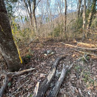 ◯善波山（名古木浅間山）
基準点？しか見当たりません。