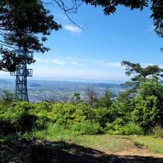 頂上着いた〜(￣▽￣;)
相方は、京見山より
キツめや〜と