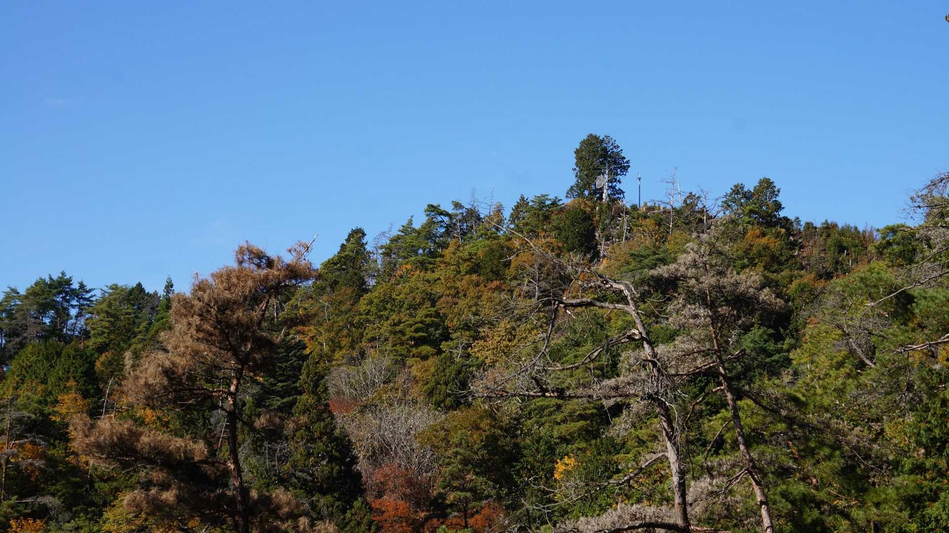城山山頂が見えて来た!
これからが手強い