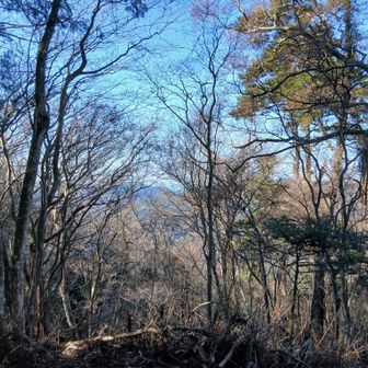 今日一番の眺望ですが