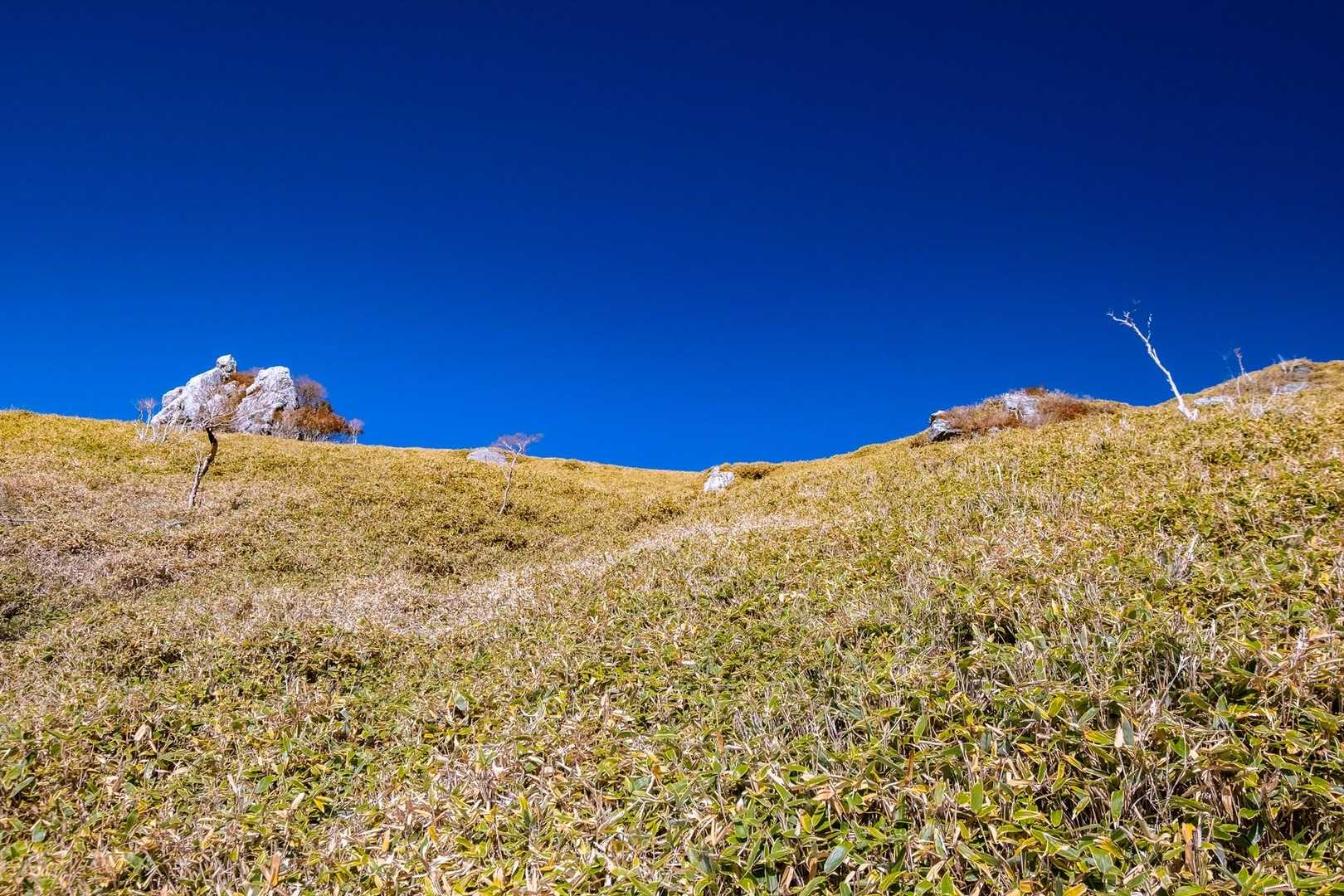 矢筈峠-土佐矢筈山-小桧曽山 往復コースの写真