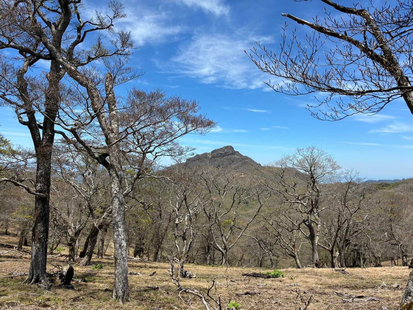 祖母山が見えて来ました⛰️