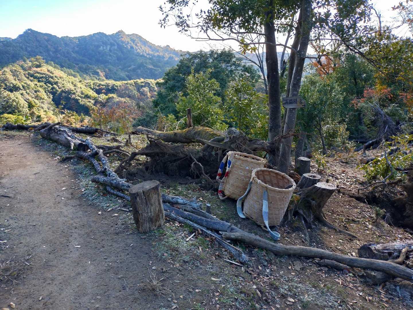 モミの木テラスでしたっけ？