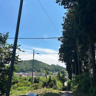 　　　　　　　　⬆️小藪山

　　　　　　　　　　　　⬆️フジヤマ