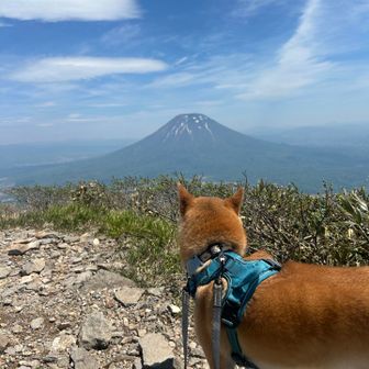 なぎチャンポン