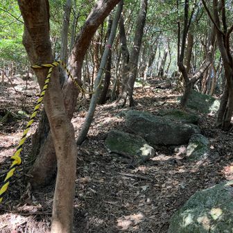 急登箇所には虎ロープあり