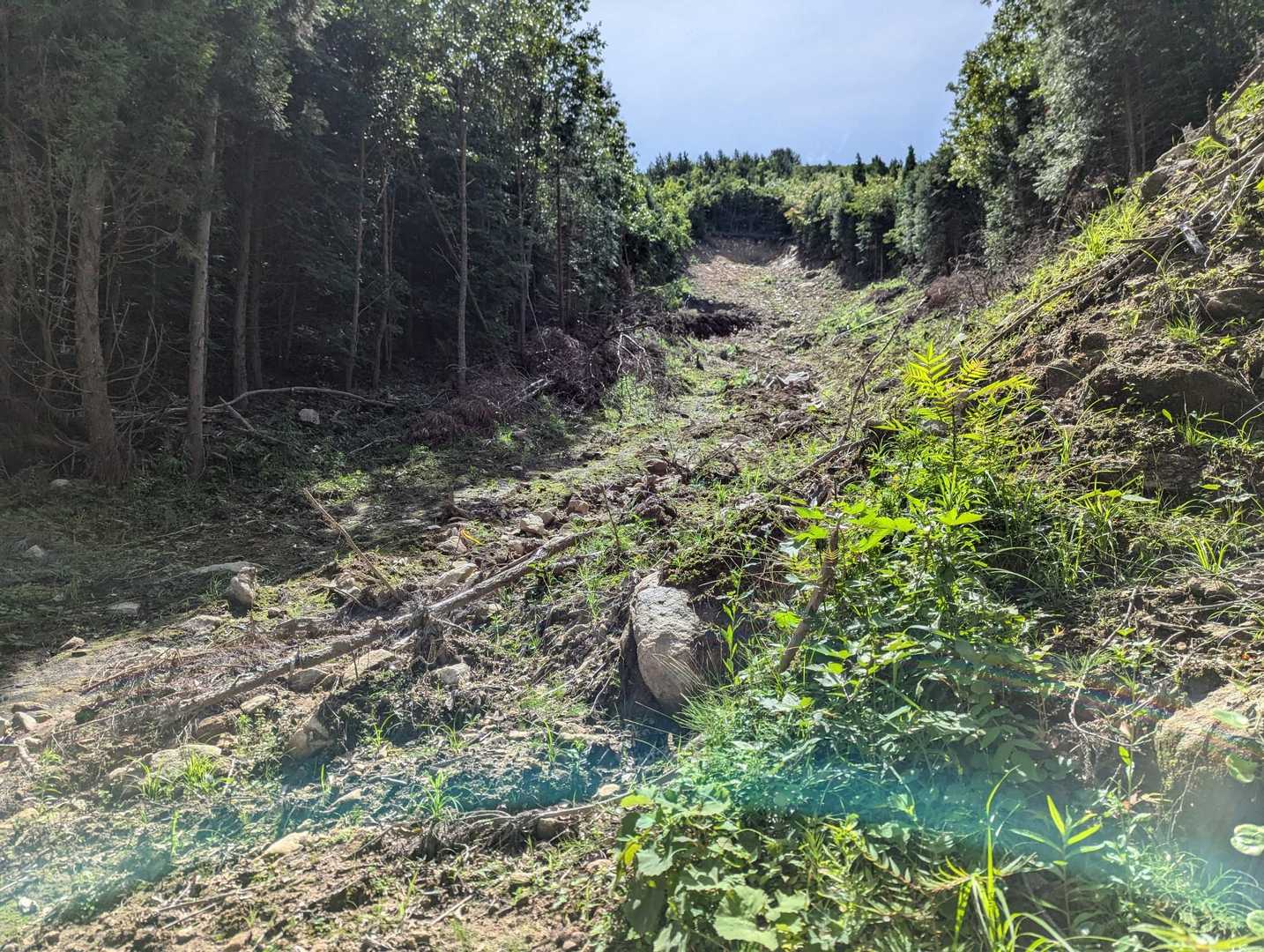 所々土石流の跡がありますよ😱恐ろしいですね😱💦💦