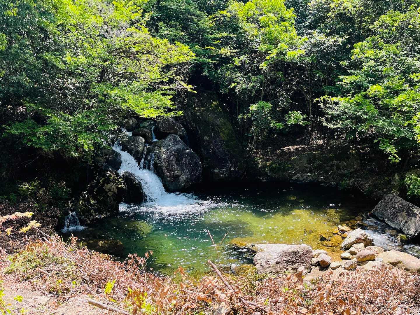 飛び込みたい気持ちを抑えて