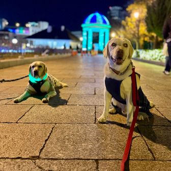 午後6:30、この時間はまだ公園はガラガラです。
お散歩するにはちょうどいいね。