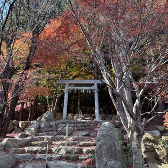 無事に帰ってきました🙏
ありがとうございます✨