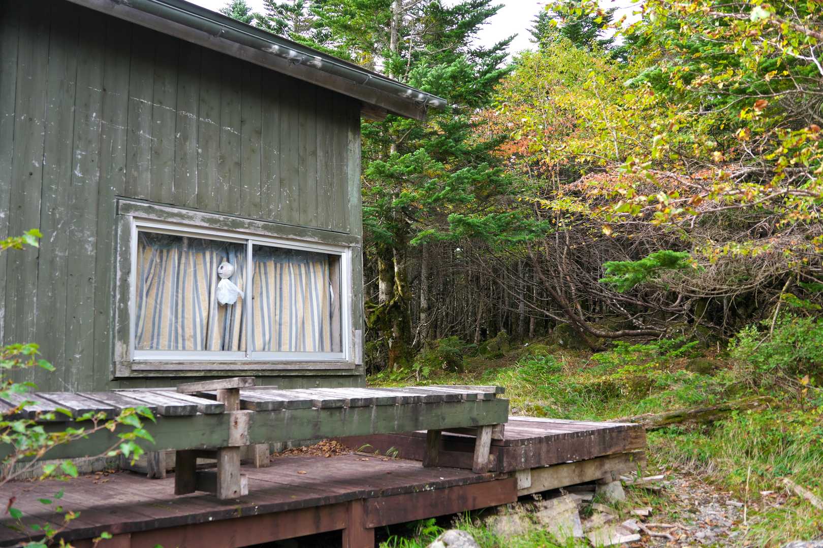 蓼科荘に到着
このあたりから黄葉が始まっていました。
