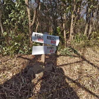 ラクダ岩に寄り道