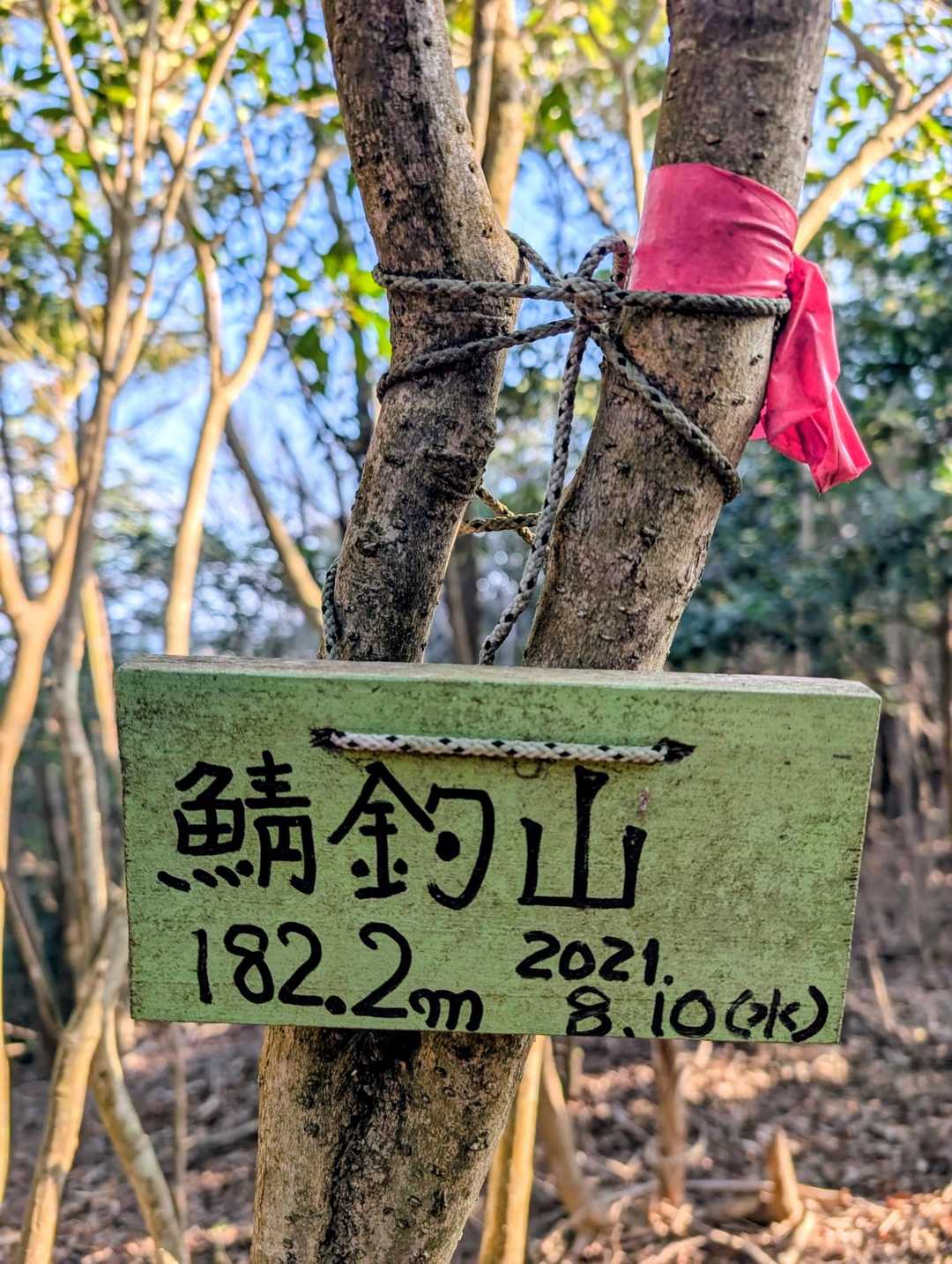 鯖釣山⛰️