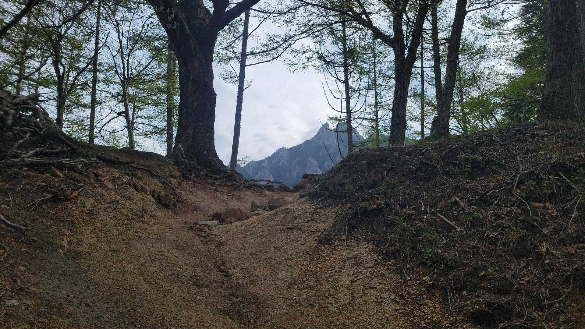瑞牆山が見えた❗