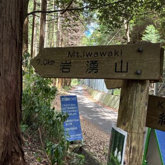 ここから岩湧山を目指します。
が、ここから登り返し。
無茶苦茶きつい。
暑すぎる。標高が400ぐらいなので、
へばりそうです。