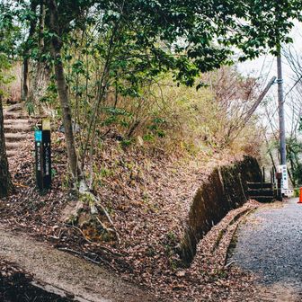 チャリの時は左の階段へ行くと、チャリ🈲ルート回避できる