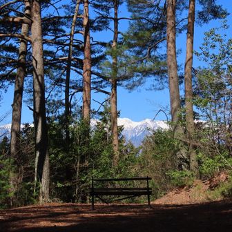 アートなベンチ。
ボロボロで座れない。