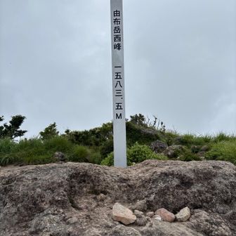 到着