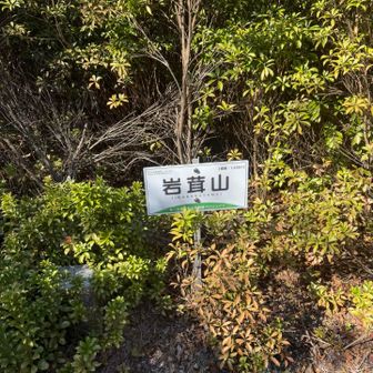 記憶にございません