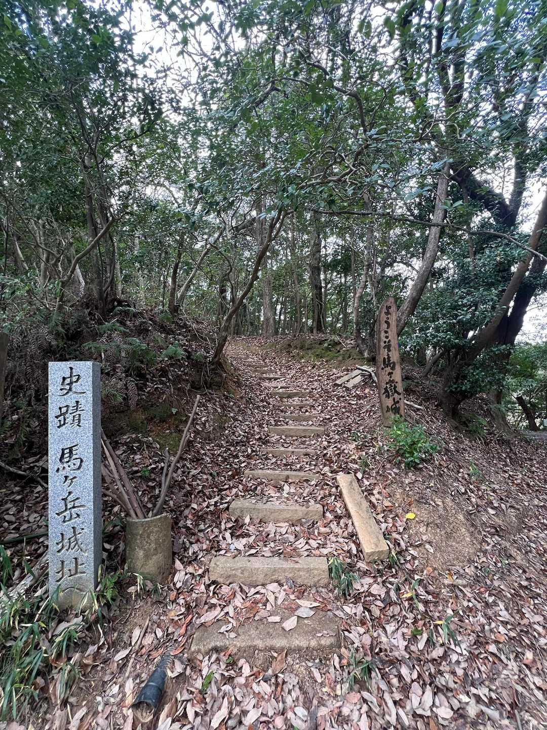 大谷登山口-馬ヶ岳 往復コースの写真
