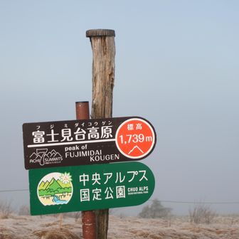 ガスってます😥