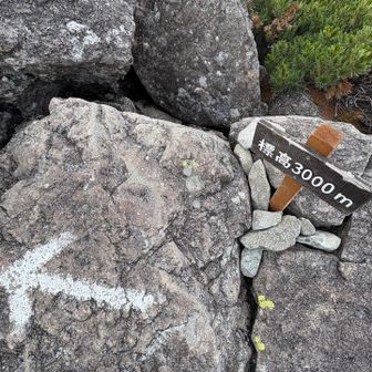 ペースをかなり落として3000m地点
去年は、
そんなに辛くなかったんだけどな😅