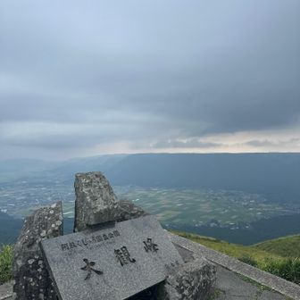 スケール😲デカっ