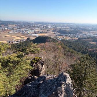 流石にこの上ではポーズ取れませんが
やはりバ〇は高い所が好きなようで
テンションバカ上がり⤴︎⤴︎(ง ˙ω˙)ว♪