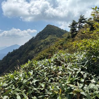 降りてきたニセピークを振り返る