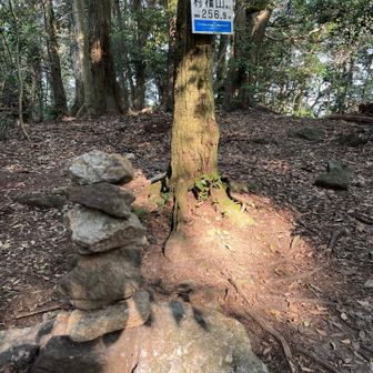 村積山の山頂に到着。