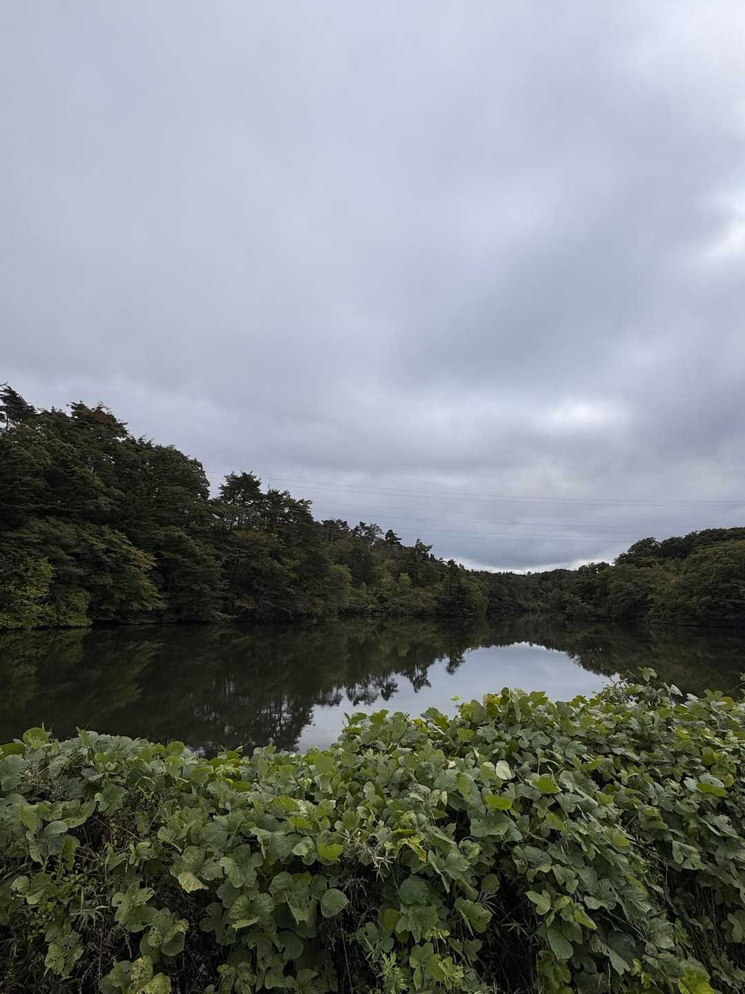 水の森公園