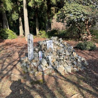 地蔵山山頂です。ルートは明瞭でした。ピンクテープもあります。