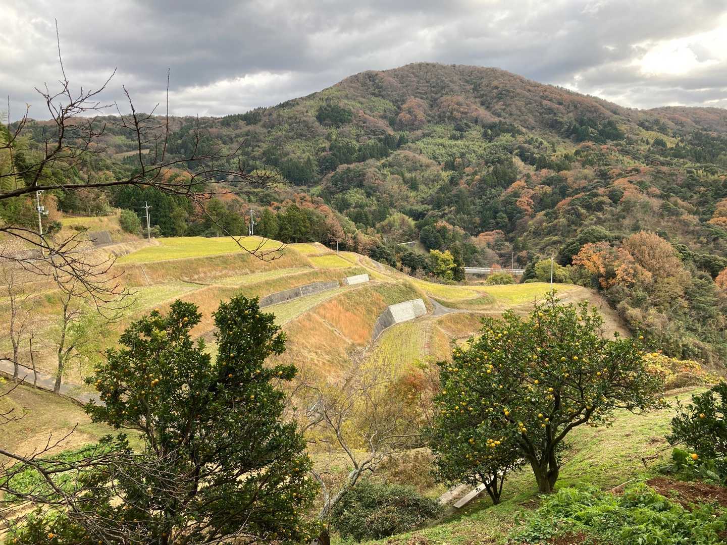 大麻山 往復コースの写真