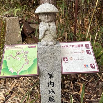 平山郁夫画伯がスケッチしたルートなのか、良く整備されてた。