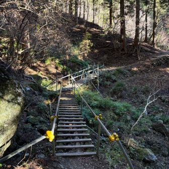 恐らくYouTuber『ぷんやま』さんが負傷された橋。
アレは痛そうでした…。